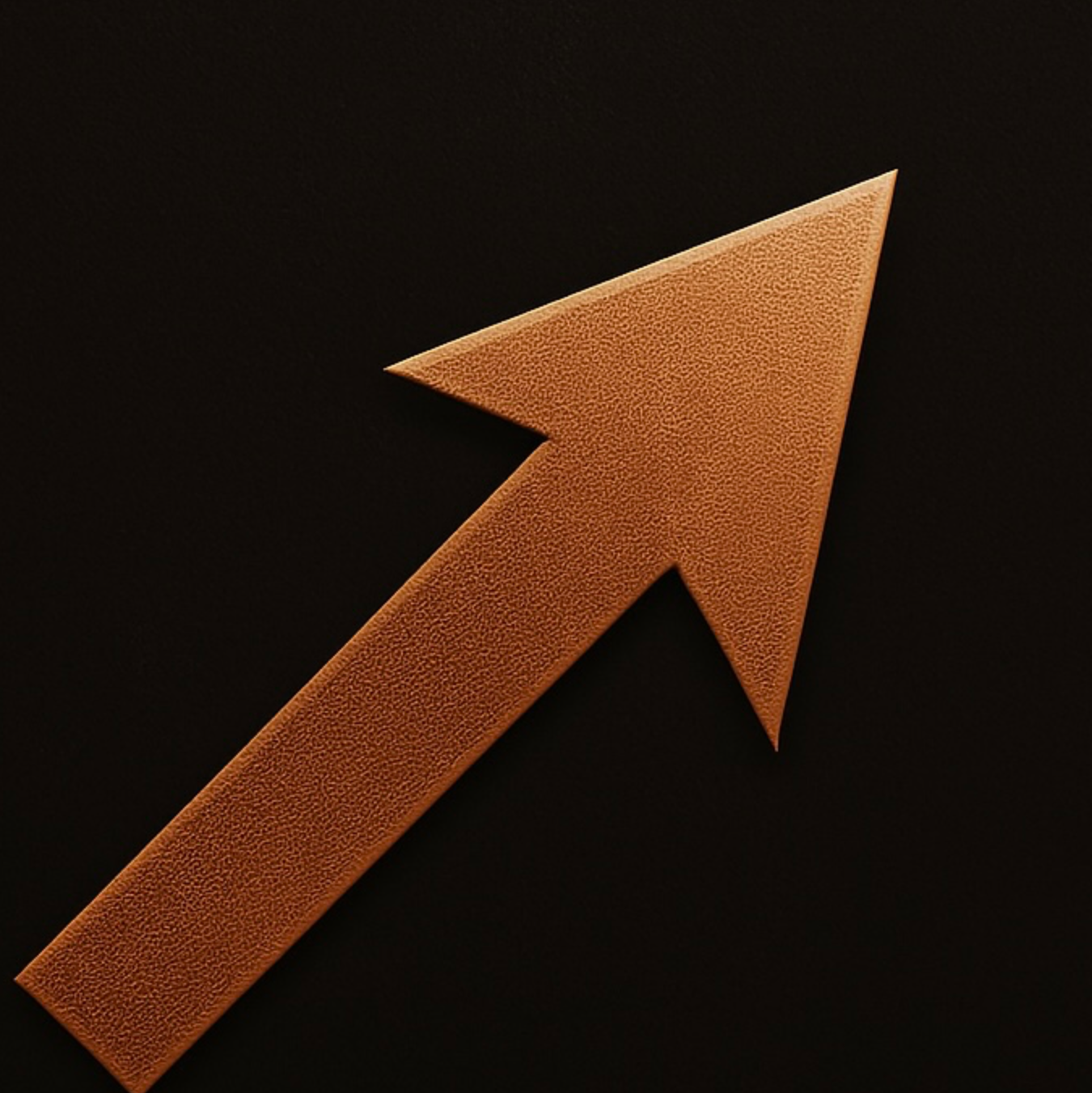 Echos's Collection profile picture