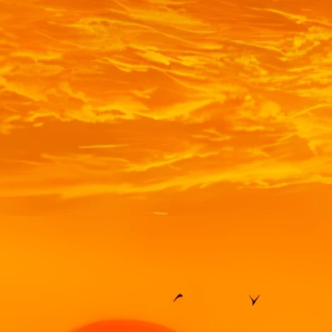 mathara's Collection profile picture